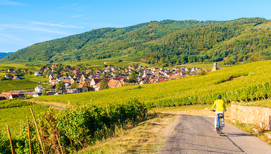 Cycling in France